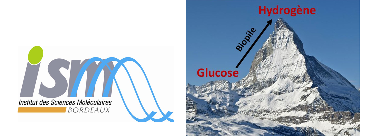 Parution d'un article sur des recherches sur les biopiles menées à l'ISM