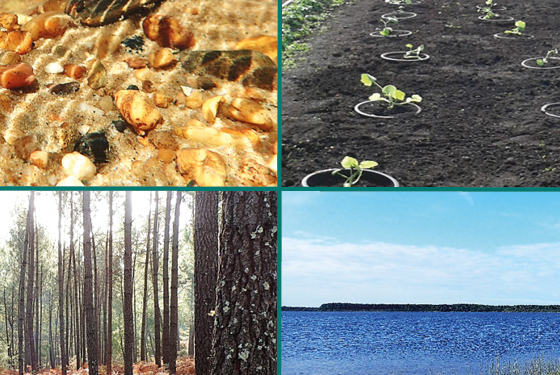 Diplôme d'Établissement « Ingénierie Écologique et Adaptation au Changement Climatique » Diplôme d'Établissement « Ingénierie Écologique et Adaptation au Changement Climatique »