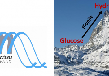 Parution d'un article sur des recherches sur les biopiles menées à l'ISM